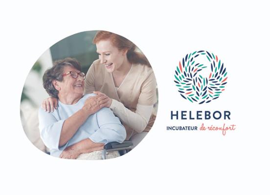 Helebor